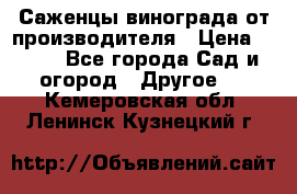 Саженцы винограда от производителя › Цена ­ 800 - Все города Сад и огород » Другое   . Кемеровская обл.,Ленинск-Кузнецкий г.